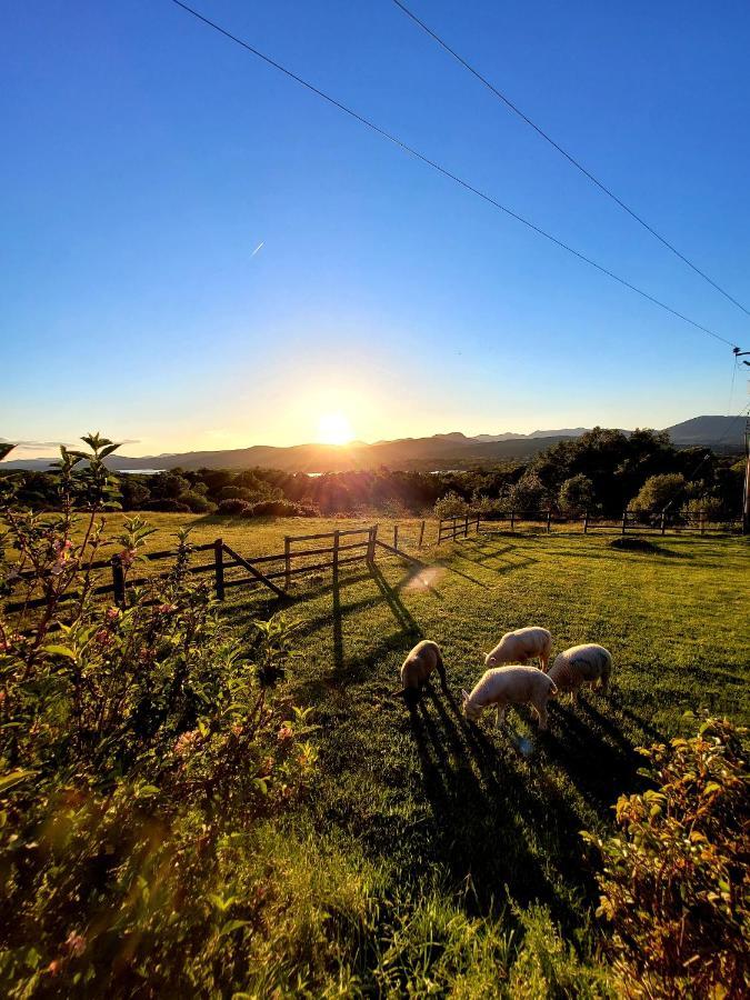 Oaklane Glamping Cabins Kenmare Extérieur photo